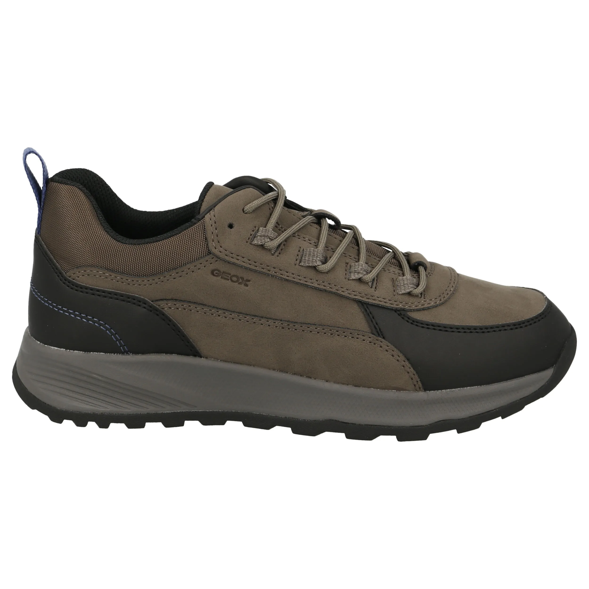 Baskets Homme Geox TERRESTRE