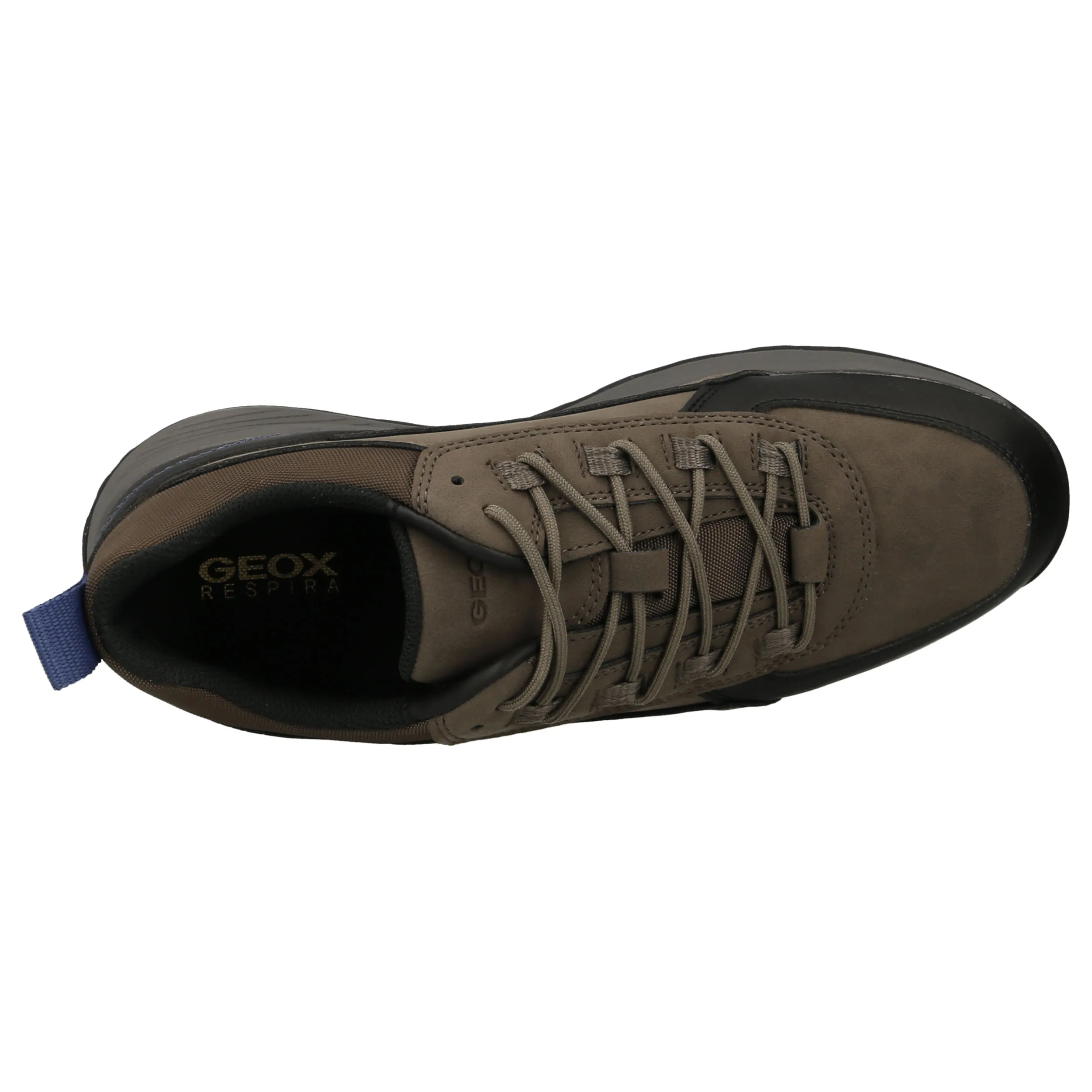 Baskets Homme Geox TERRESTRE