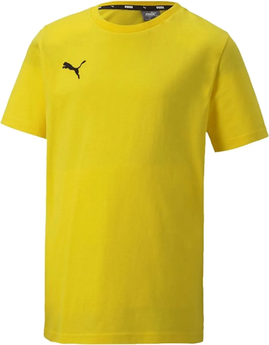 Camiseta Puma teamGOAL 23 Casuals Tee Jr