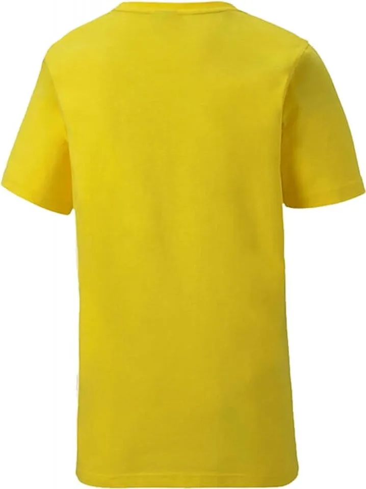 Camiseta Puma teamGOAL 23 Casuals Tee Jr