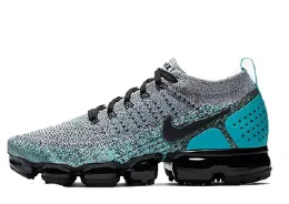 Nike Air Vapormax Dusty Cactus