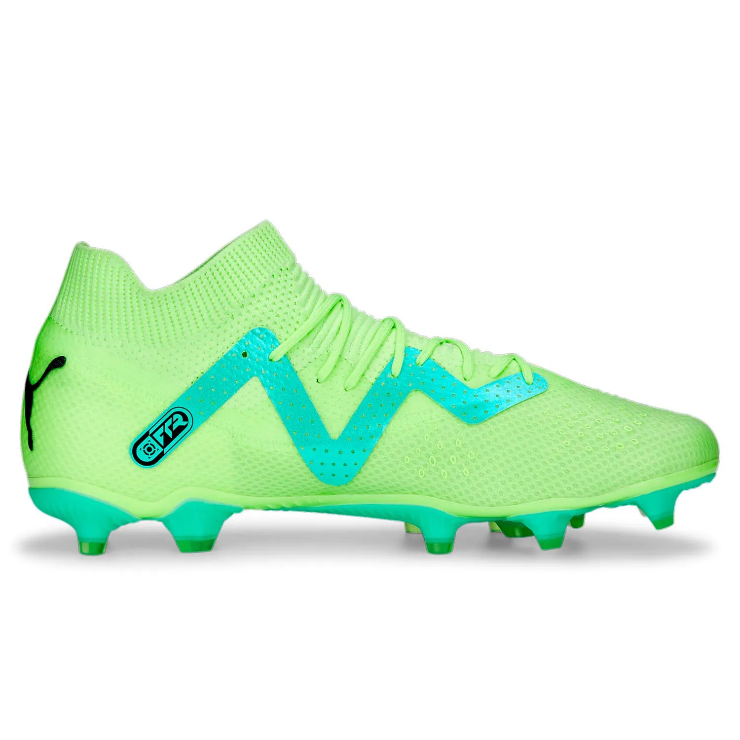 Puma Future Pro FG/AG