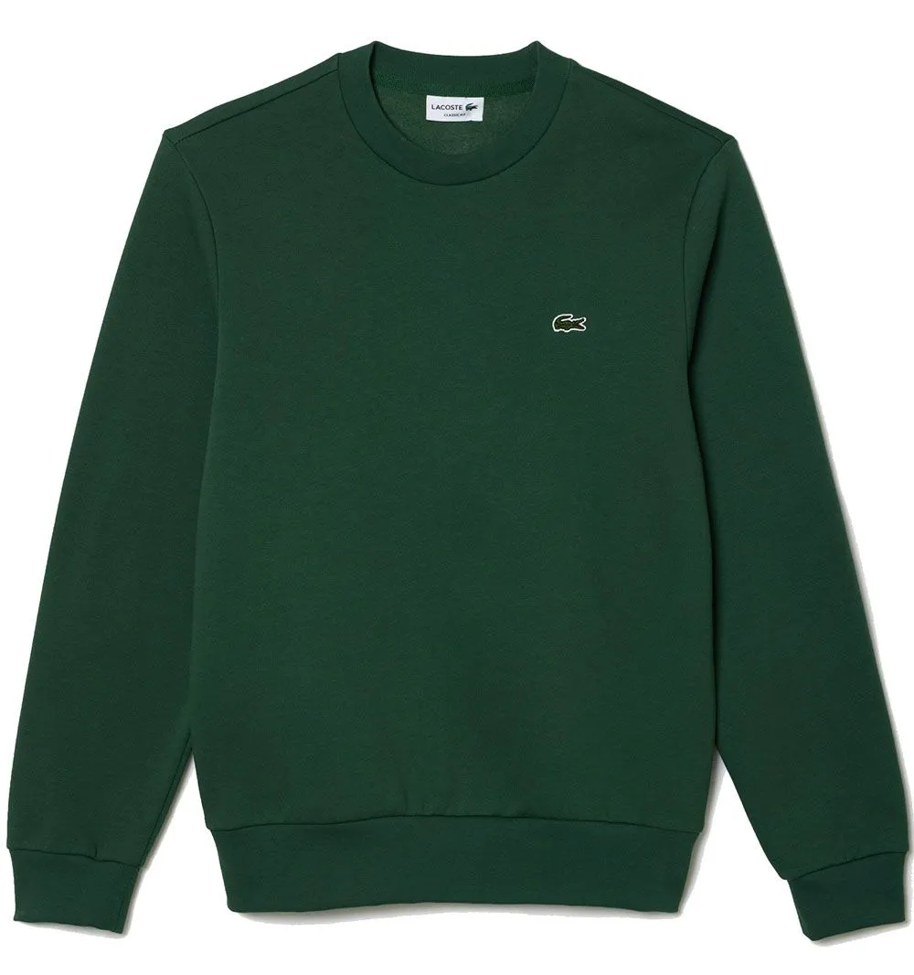 Sudadera Lacoste en algodón ecológico cepillado