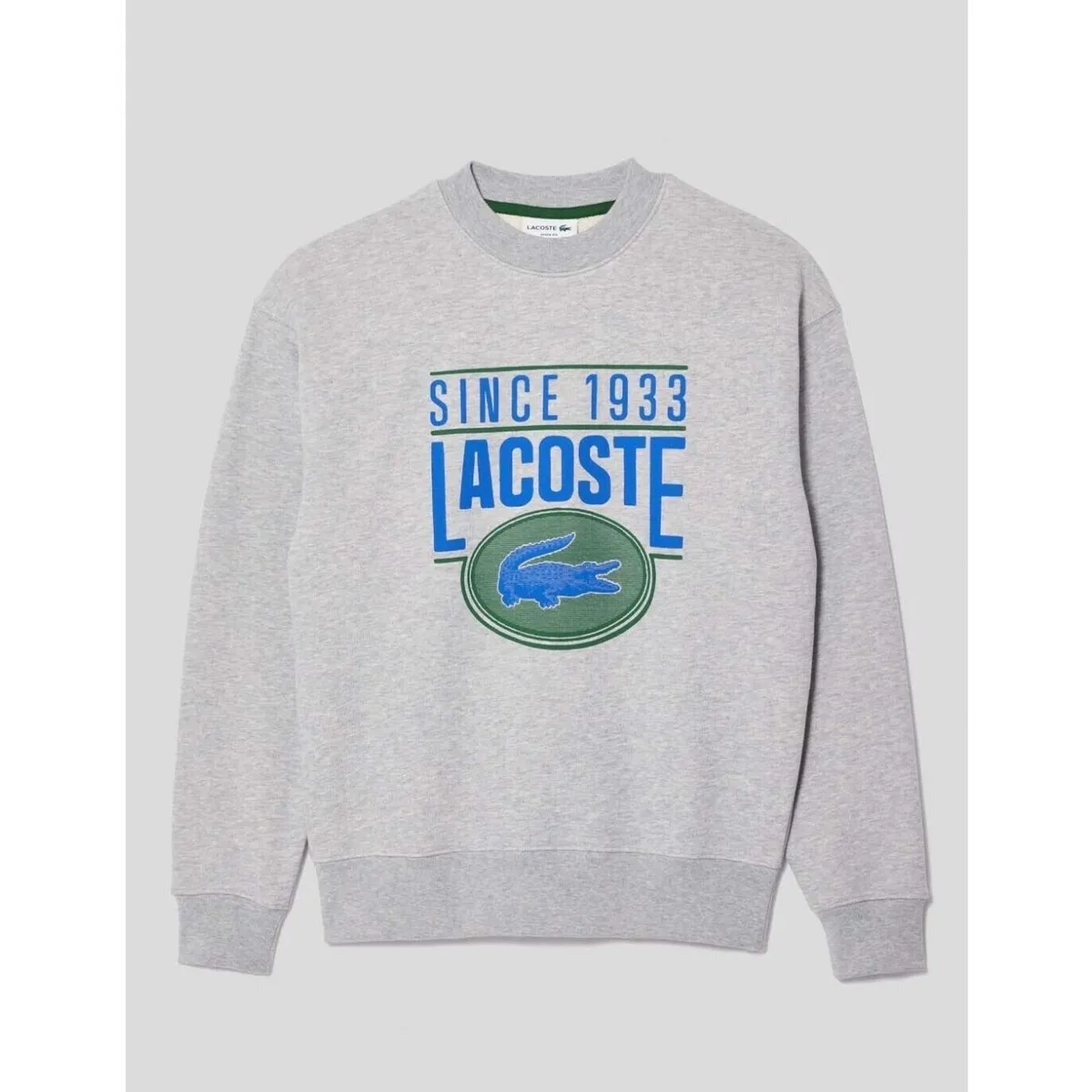 SUDADERA  LOOSE FIT GRAPHIC SWEATSHIRT  ARGENT CHINE