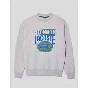 SUDADERA  LOOSE FIT GRAPHIC SWEATSHIRT  ARGENT CHINE