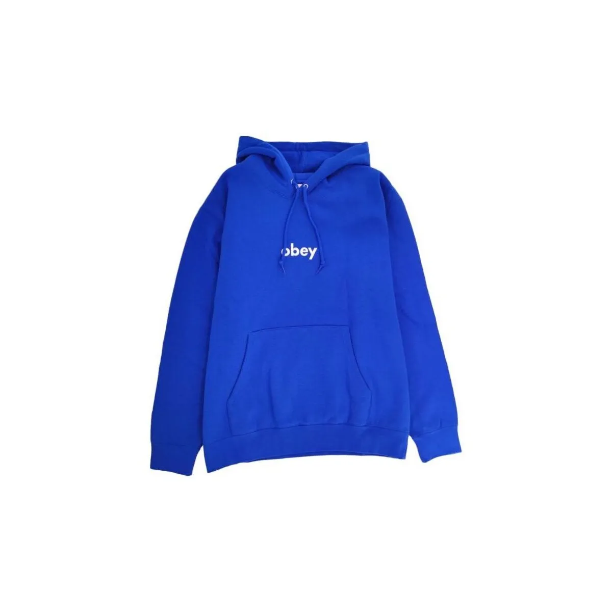 Sudadera Lowercase Hood Hombre Surf Blue