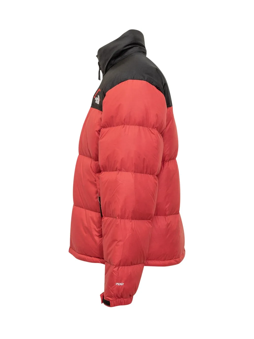 THE NORTH FACE Down Jacket M96