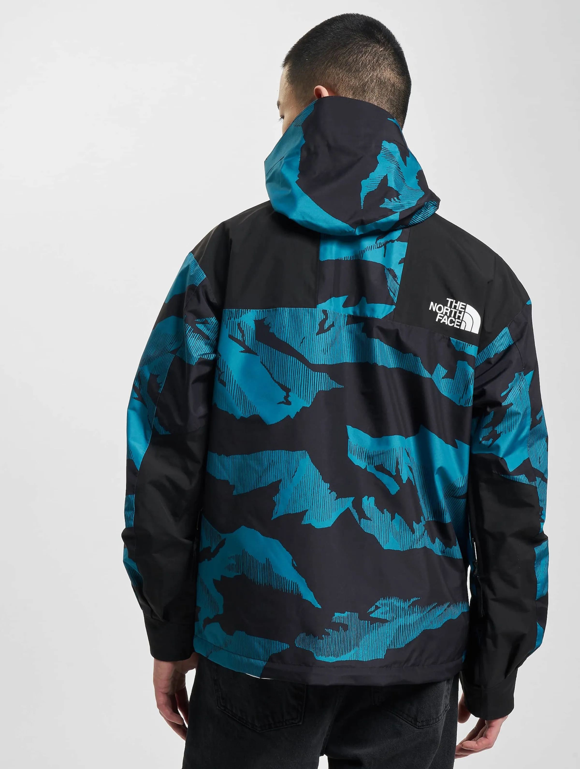 The North Face Printed 86 Retro Mountain Rain Winter Jacket