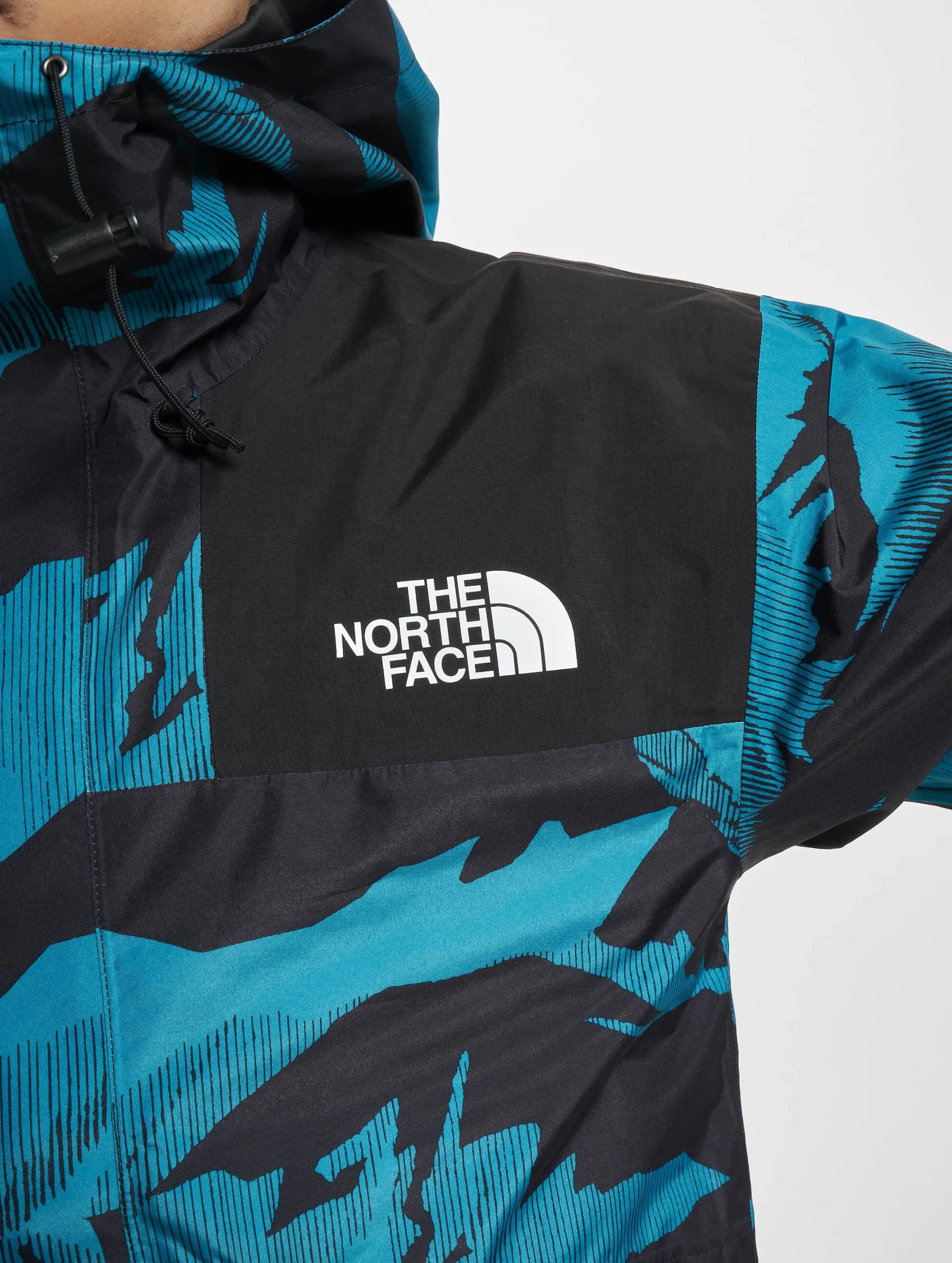 The North Face Printed 86 Retro Mountain Rain Winter Jacket