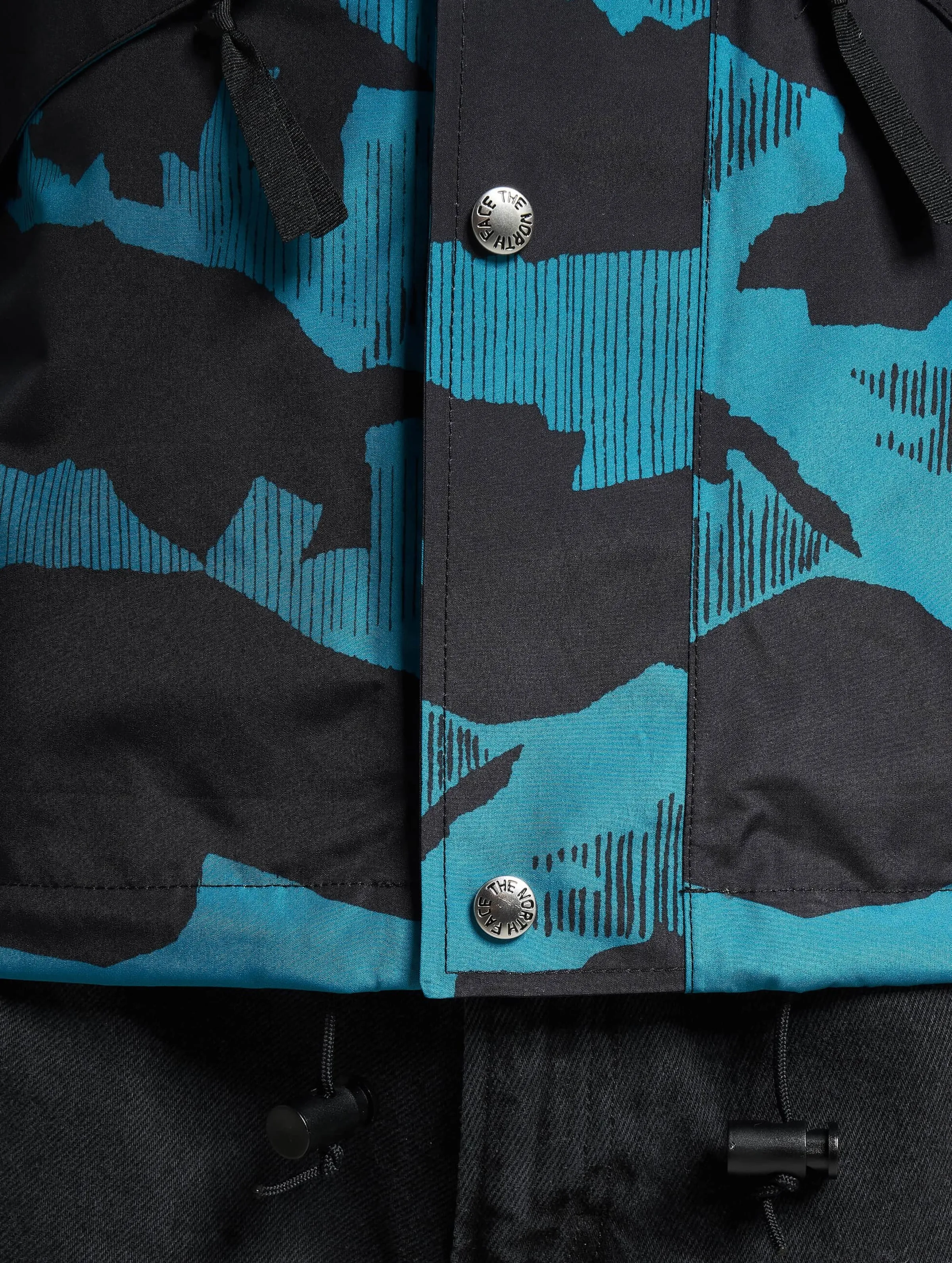 The North Face Printed 86 Retro Mountain Rain Winter Jacket