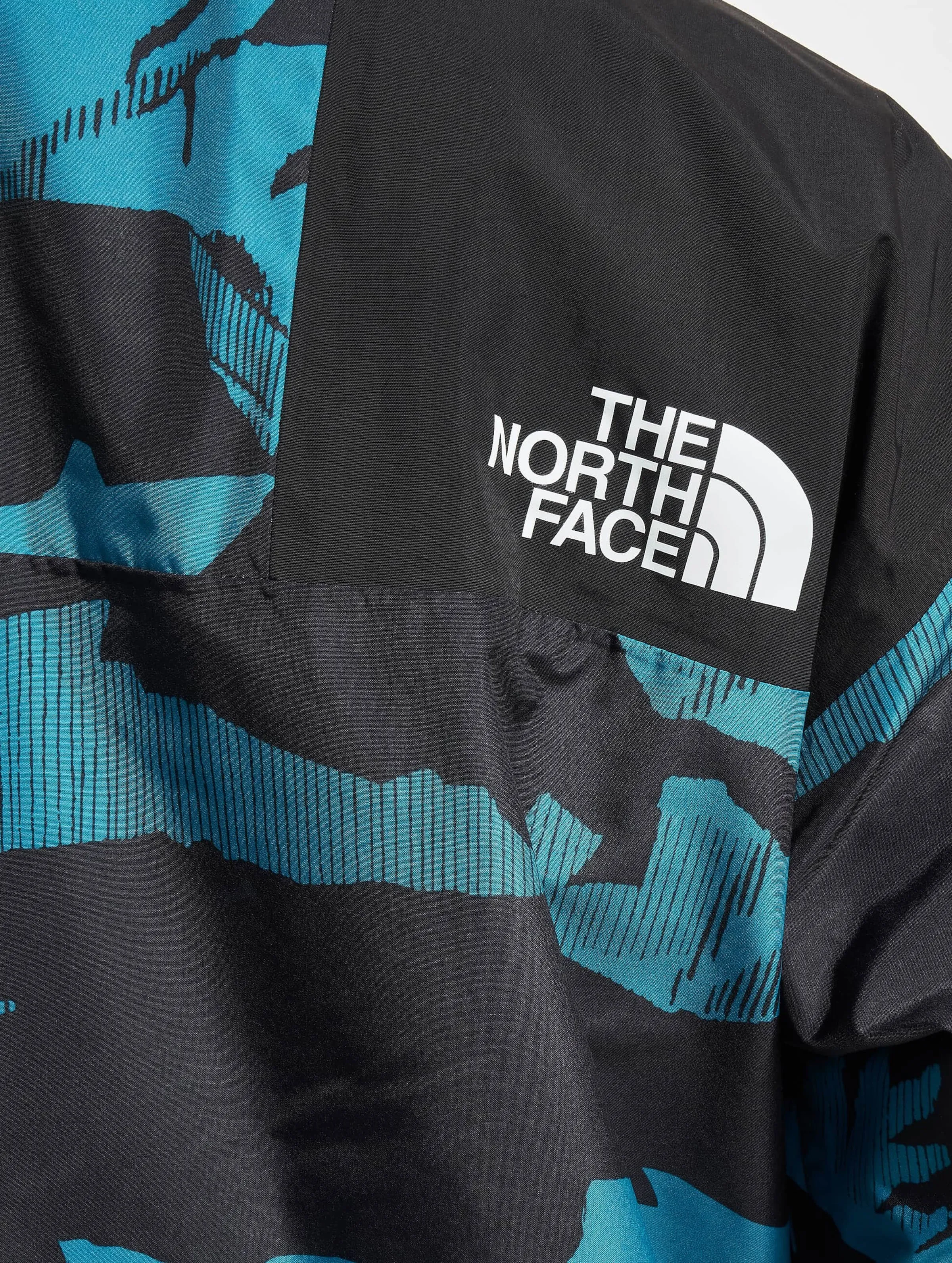 The North Face Printed 86 Retro Mountain Rain Winter Jacket